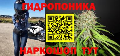 индика Лесосибирск