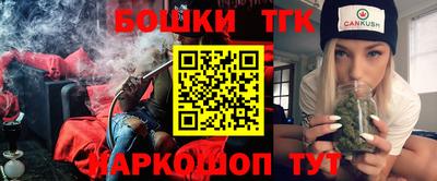 индика Лесосибирск