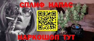 спиды Ливны