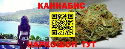 индика Лесосибирск