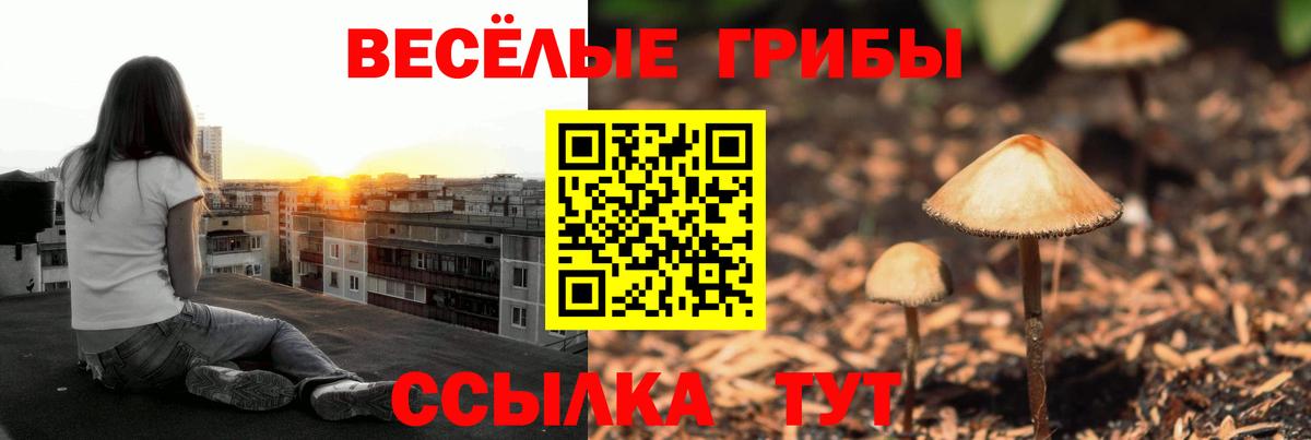 Псилоцибиновые грибы Magic Shrooms  Псилоцибиновые грибы Magic Shrooms  Гуково  Вход с VPN 